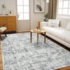image:imageHOMORE 5x7 Area Rug Grey Rugs for Living Room Modern Carpet for Bedroom  AbstractWashableLow PileNon Slip Rugs for Dining Room DormClassic Grey