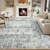 image:imageHOMORE 5x7 Area Rug Grey Rugs for Living Room Modern Carpet for Bedroom  AbstractWashableLow PileNon Slip Rugs for Dining Room DormClassic Grey