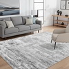 image:imageHOMORE 5x7 Area Rug Grey Rugs for Living Room Modern Carpet for Bedroom  AbstractWashableLow PileNon Slip Rugs for Dining Room DormGrey
