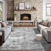 image:imageHOMORE 5x7 Area Rug Grey Rugs for Living Room Modern Carpet for Bedroom  AbstractWashableLow PileNon Slip Rugs for Dining Room DormGrey