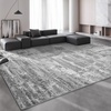 image:imageHOMORE 5x7 Area Rug Grey Rugs for Living Room Modern Carpet for Bedroom  AbstractWashableLow PileNon Slip Rugs for Dining Room DormGrey