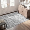 image:imageHOMORE 5x7 Area Rug Grey Rugs for Living Room Modern Carpet for Bedroom  AbstractWashableLow PileNon Slip Rugs for Dining Room DormGrey