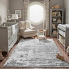 image:imageHOMORE 5x7 Area Rug Grey Rugs for Living Room Modern Carpet for Bedroom  AbstractWashableLow PileNon Slip Rugs for Dining Room DormGrey