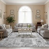 image:imageHOMORE 5x7 Area Rug Grey Rugs for Living Room Modern Carpet for Bedroom  AbstractWashableLow PileNon Slip Rugs for Dining Room DormGrey