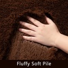image:imageHOMORE Bedroom Rug 3x5 Black Rugs for Living Room Luxury Fluffy Area Rugs for Indoor Entrance Non Slip Kids Rug for Nursery Girls Boys DormBrown