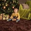 image:imageHOMORE Bedroom Rug 3x5 Black Rugs for Living Room Luxury Fluffy Area Rugs for Indoor Entrance Non Slip Kids Rug for Nursery Girls Boys DormBrown