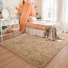 image:imageHOMORE Bedroom Rug 3x5 Black Rugs for Living Room Luxury Fluffy Area Rugs for Indoor Entrance Non Slip Kids Rug for Nursery Girls Boys DormLight Tan