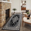 image:imageHOMORE Black Area Rug 5x7 Living Room Rug Washable Rugs for Bedroom  Non Slip Low Pile Vintage Floral Throw Rugs for Dining Room FarmhouseBlack