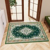 image:imageHOMORE Black Area Rug 5x7 Living Room Rug Washable Rugs for Bedroom  Non Slip Low Pile Vintage Floral Throw Rugs for Dining Room FarmhouseDeep Green