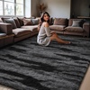 image:imageHOMORE Black Rug for Bedroom 4x6 Area Rugs for Kids Room Non Slip Dorm Rug  Shaggy Fluffy Furry Carpet for Living RoomSuper Soft Gothic Rug for Home DecorBlack and Grey
