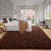 image:imageHOMORE Small Rugs for Bedroom 2x3 Feet Black Rug for Bedside Living Room  Soft Fluffy Area Rugs for Desk Indoor Entrance Door Mat Small Runner Rugs and Carpets for Dorm NurseryBrown