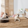 image:imageHOMORE Small Rugs for Bedroom 2x3 Feet Black Rug for Bedside Living Room  Soft Fluffy Area Rugs for Desk Indoor Entrance Door Mat Small Runner Rugs and Carpets for Dorm NurseryLight Tan