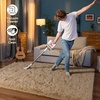 image:imageHOMORE Small Rugs for Bedroom 2x3 Feet Black Rug for Bedside Living Room  Soft Fluffy Area Rugs for Desk Indoor Entrance Door Mat Small Runner Rugs and Carpets for Dorm NurseryLight Tan