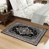 image:imageHOMORE Washable Area Rug 4x6 Black Rugs for Bedroom Living Room  Non Slip Low Pile Vintage Floral Throw Rugs for Entryway Kitchen Rug Dinning Room OfficeBlack